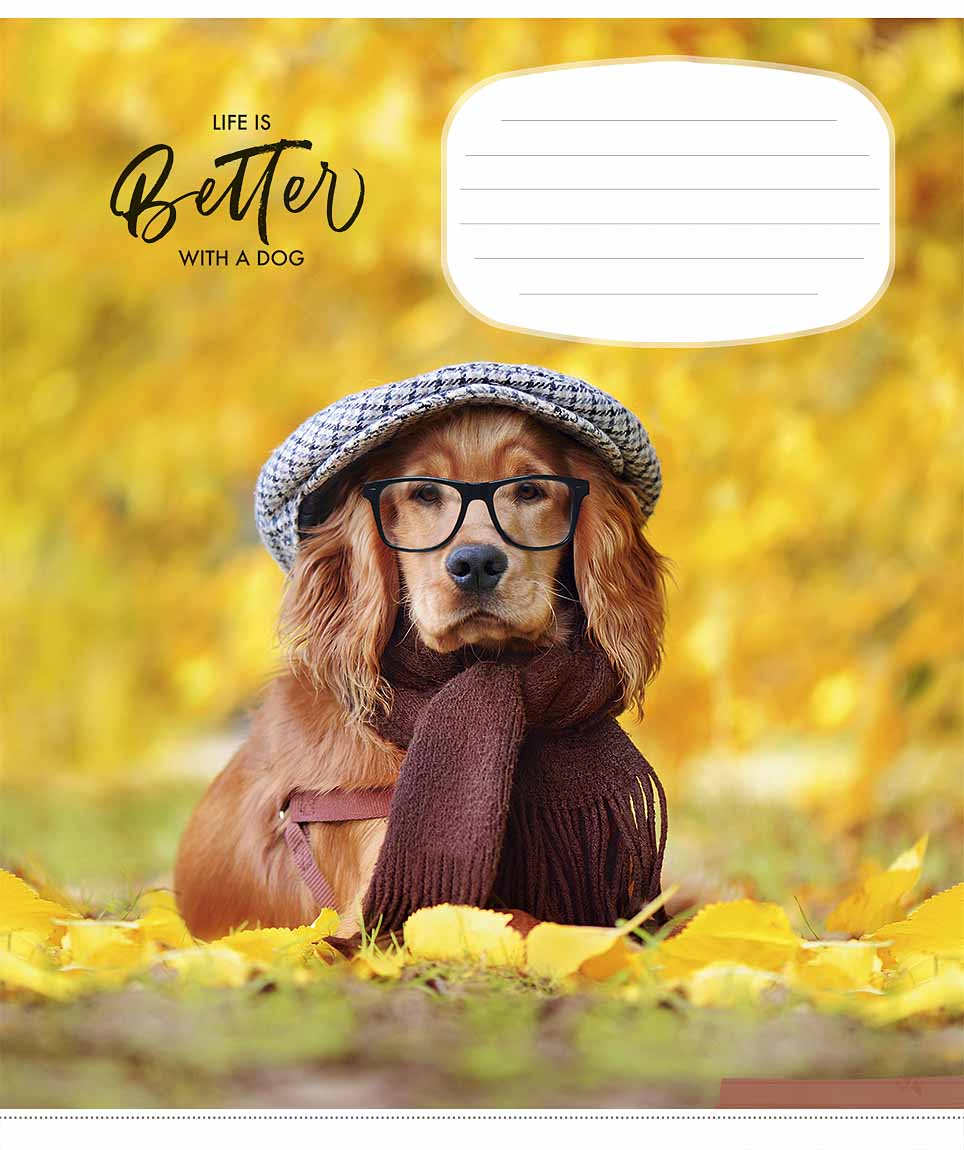 Зошит 12 аркушів лінія Life is Better With a Dog ВД-лак 012-2909 L