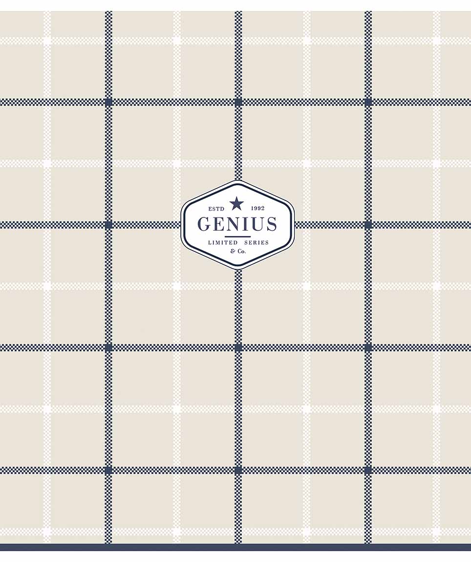 Зошит 48 аркушів лінія Genius софт тач лак 048-2900 L