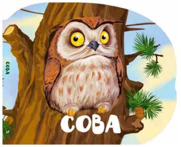 Книжка В6 «Лісові звірята. Сова»