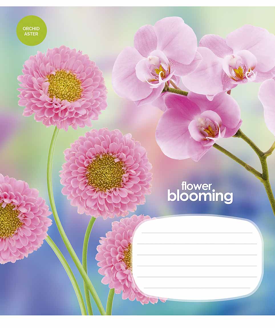 Зошит 12 аркушів клітинка «Flower blooming» ВД-лак