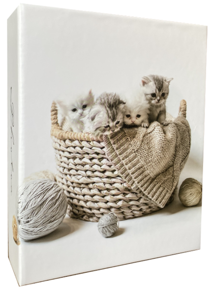Фотоальбом 10×15×200 Family