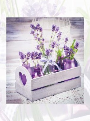 Фотоальбом 10×15×300 Lavender