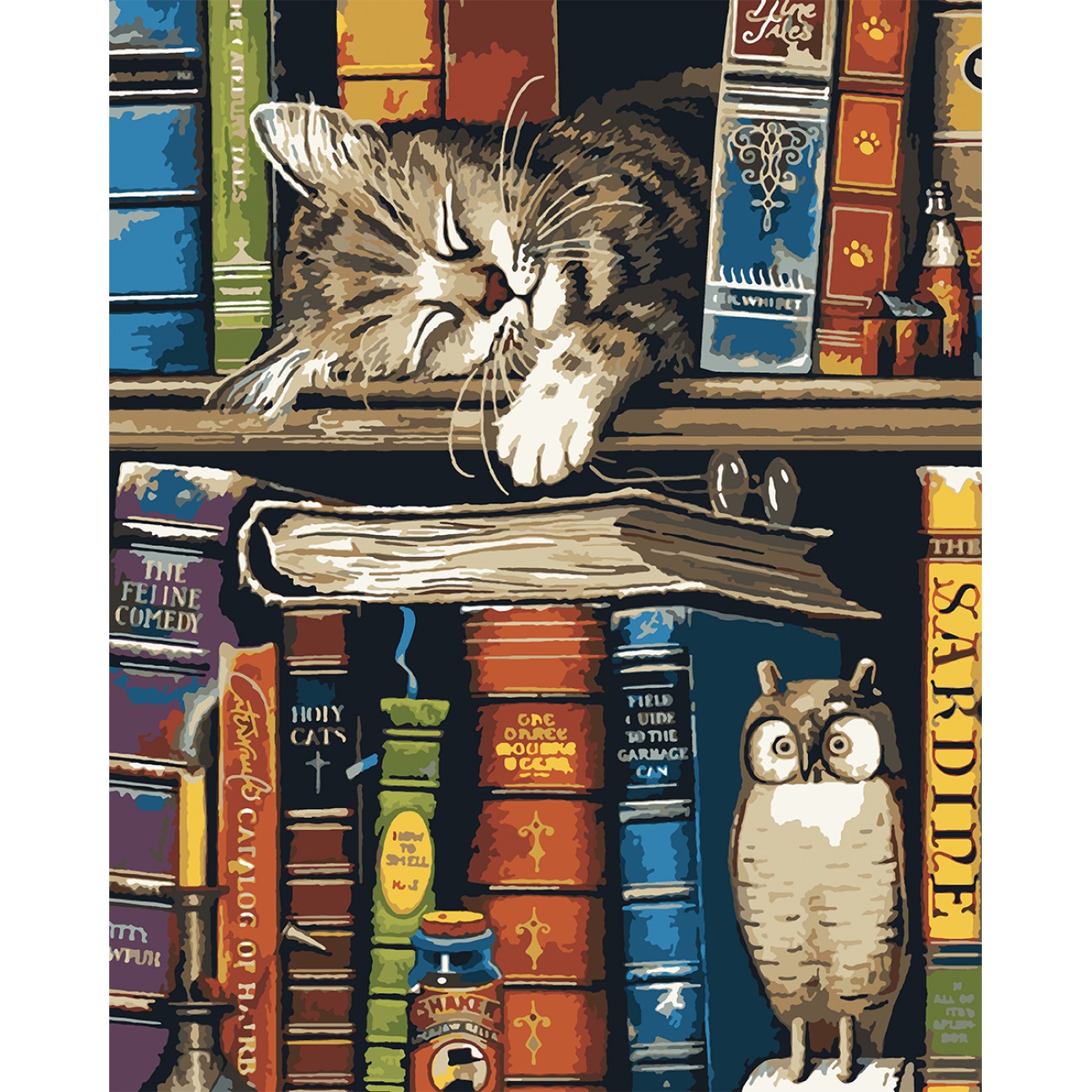 Картини по номерах «Котик та книжки» 40×50см