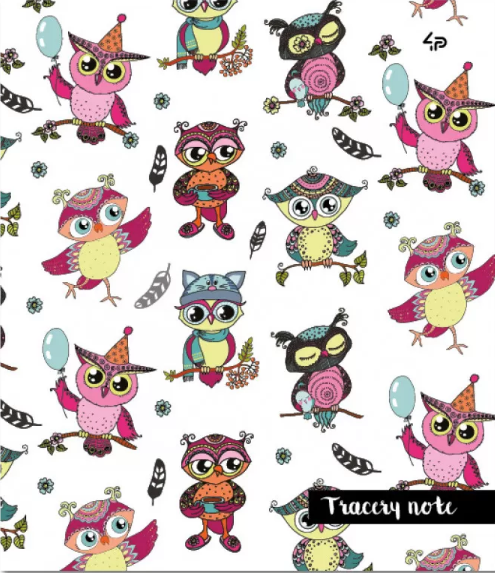 Блокнот А6 40 аркушів «Tracery note» owls