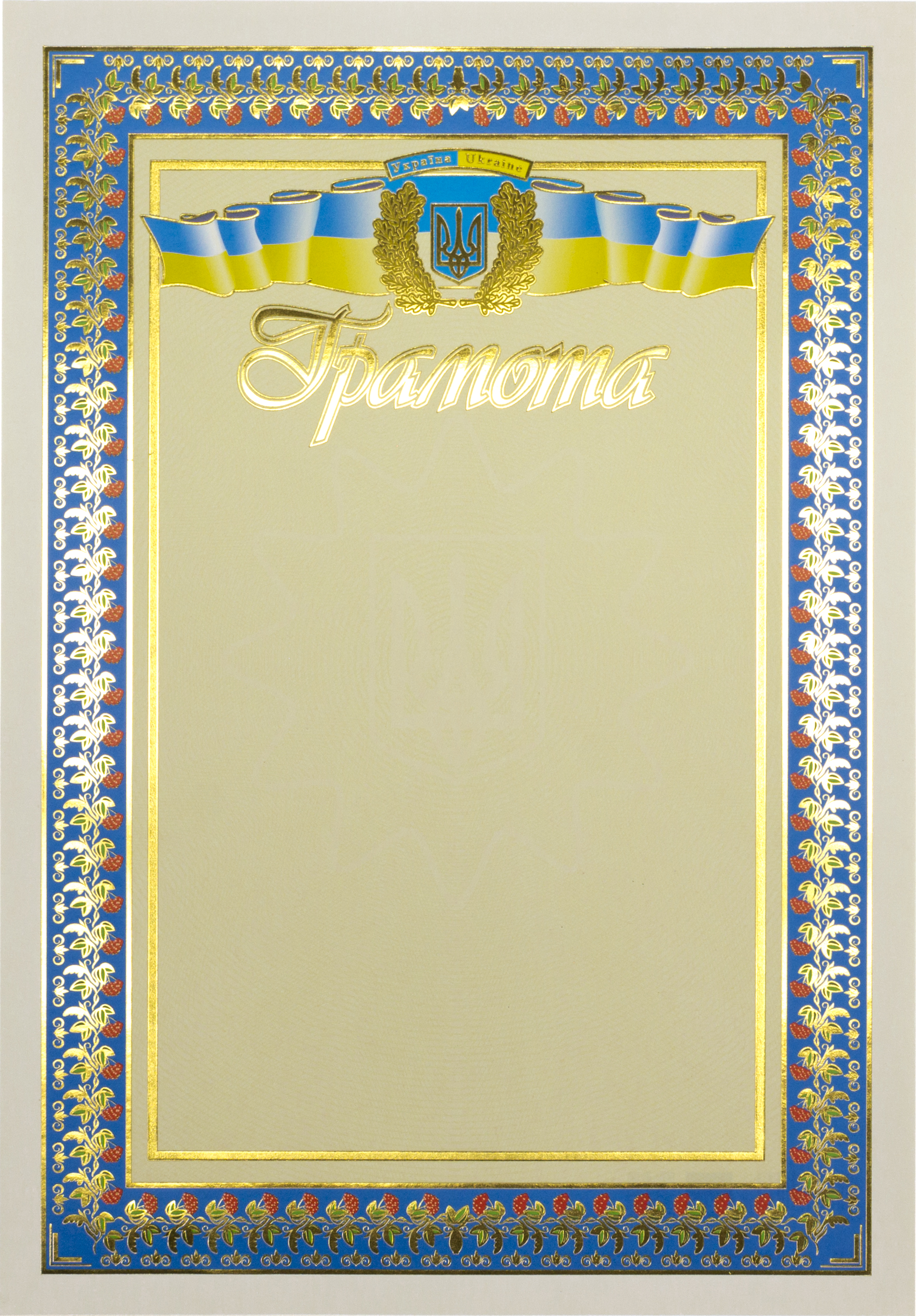 Грамота А4 офіційна №35