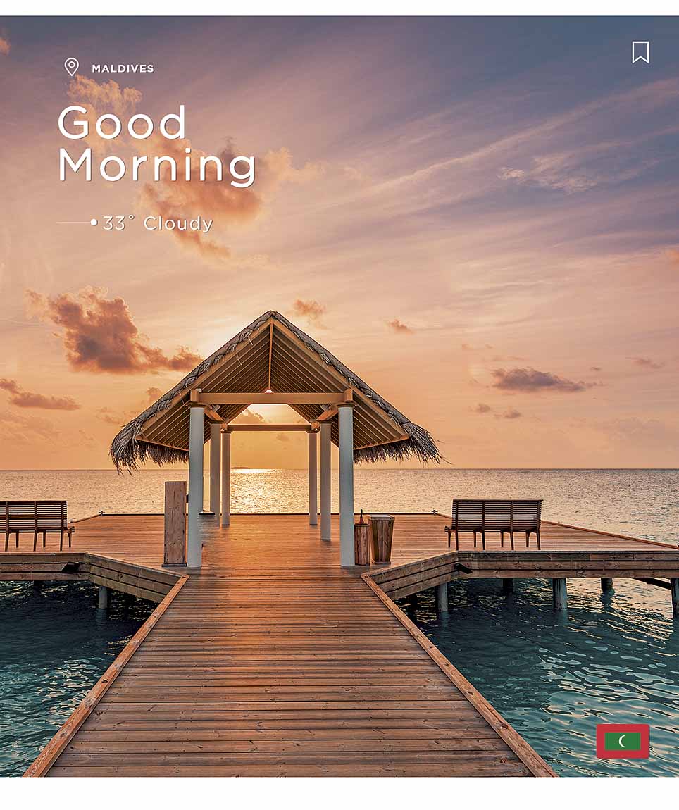 Зошит 60 аркушів лінія «Exotic morning» УФ лак