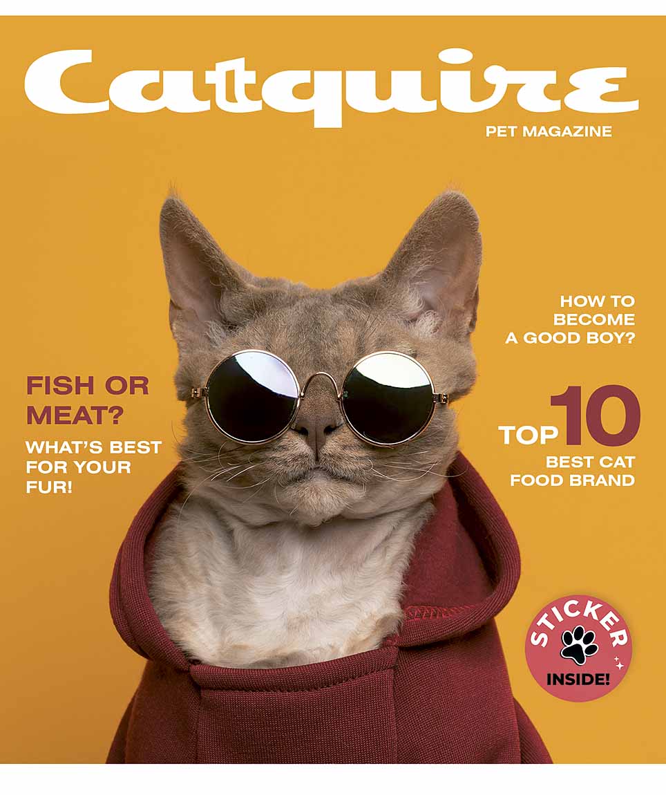 Зошит 36 аркушів клітинка «Pets magazine» УФ-лак