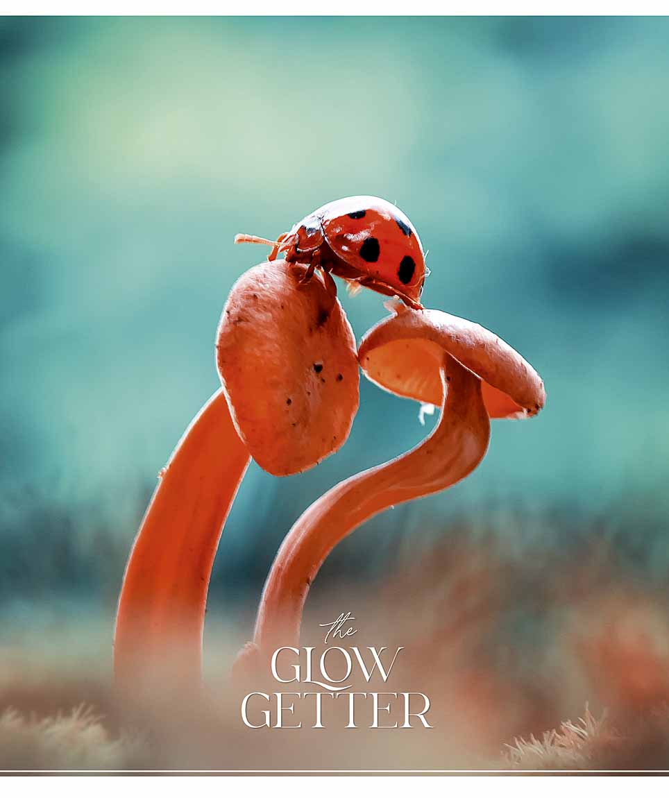Зошит 48 аркушів клітинка «Glow getter» УФ-лак