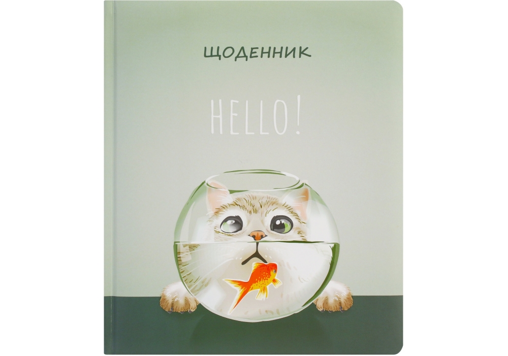 Щоденник шкільний В5 48 аркушів