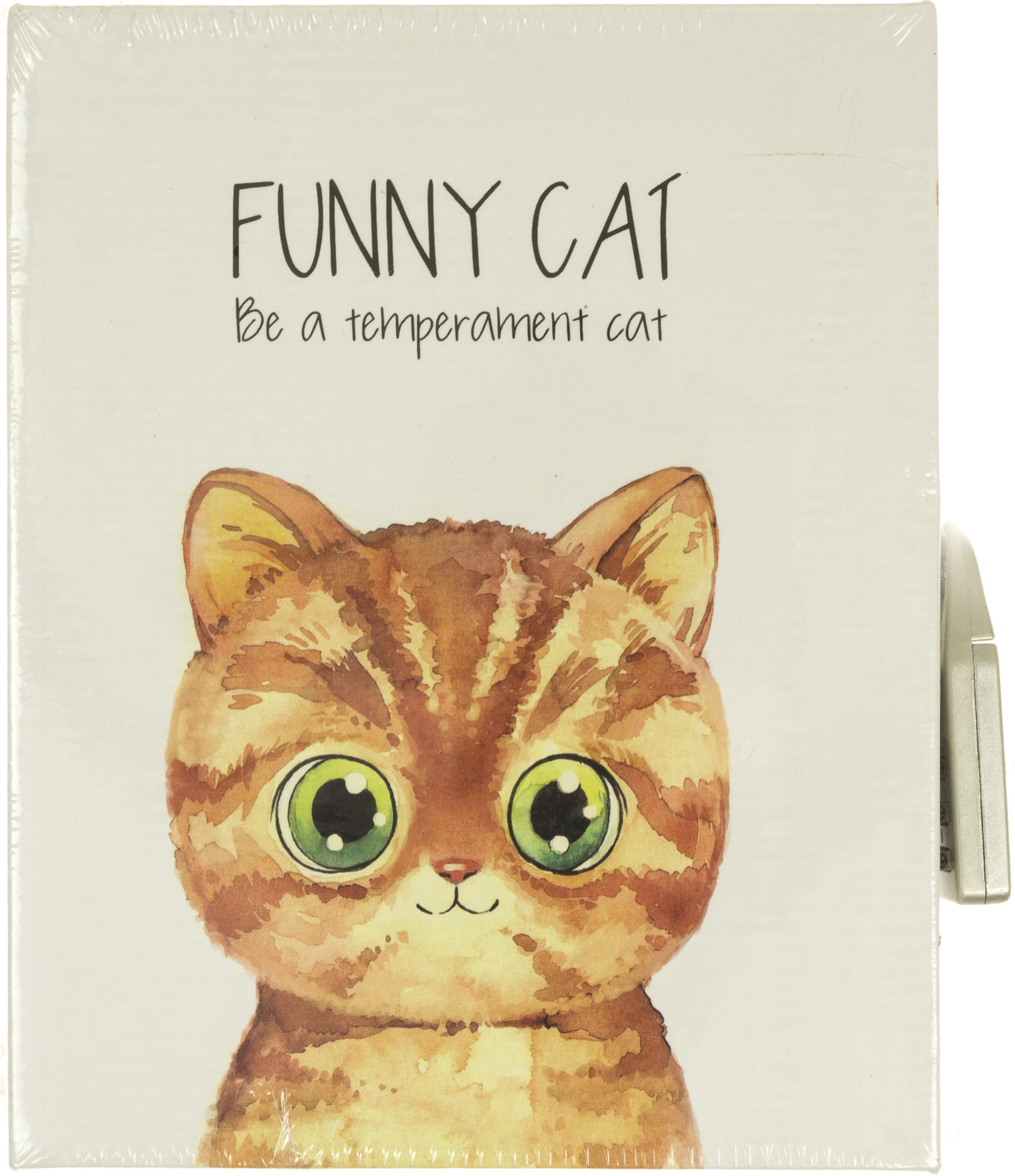 Блокнот на замку Funny cat A6 64 аркуші в коробці
