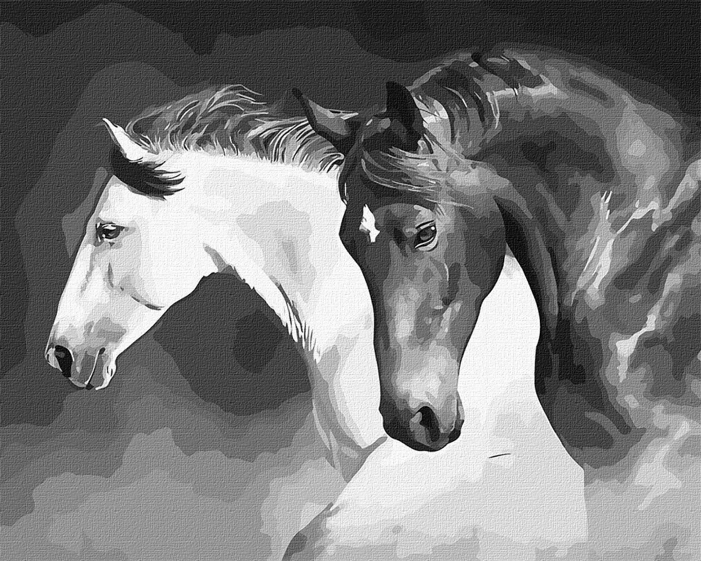 Картини по номерах акрилові «Чорно-біла сила» 40×50см