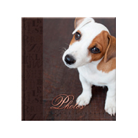 Фотоальбом 20sheet S22×32 Patron