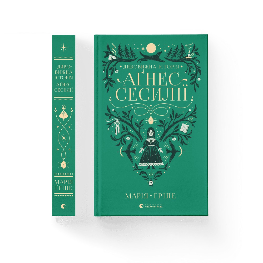 Книжка В5 «Дивовижна історія Аґнес Сесилії» М.Ґріпе