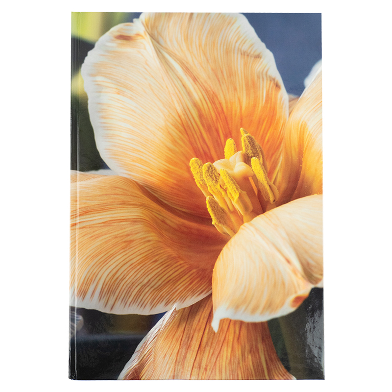 Книга-канцелярська А4 192 аркуші клітинка тверда обкладинка «Flora» жовта