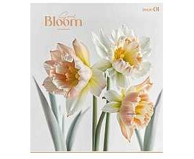 Зошит 60 аркушів клітинка «Colour Mix» виб. УФ лак