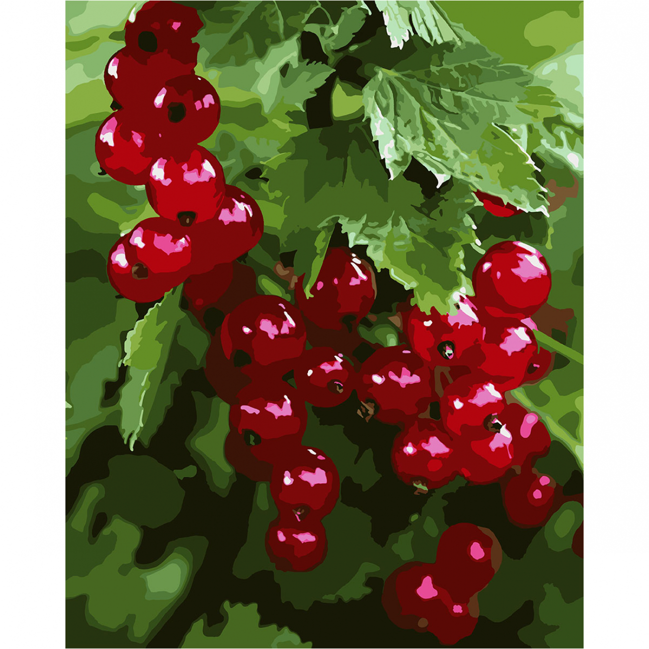 Картини по номерах «Смородина» 40×50см