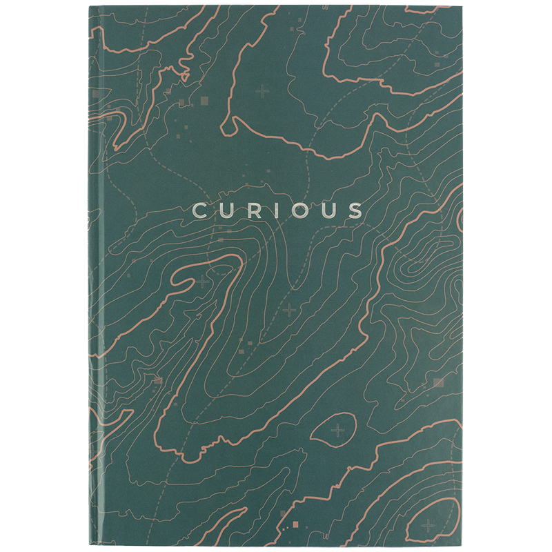 Книга-канцелярська А4 96 аркушів клітинка тверда обкладинка «Earth colors. Curious»