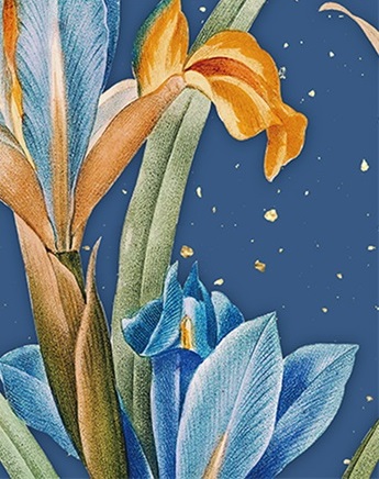 Фотоальбом 10×15×200 Muza