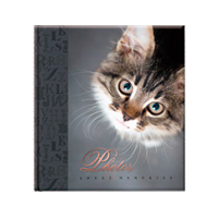 Фотоальбом 10×15×200 Pussycat 6