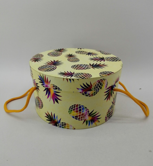 Коробка подарункова 20,5×20,5×11,5см