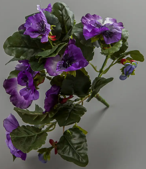 Букет «Братки фіолетові» 25см /violet