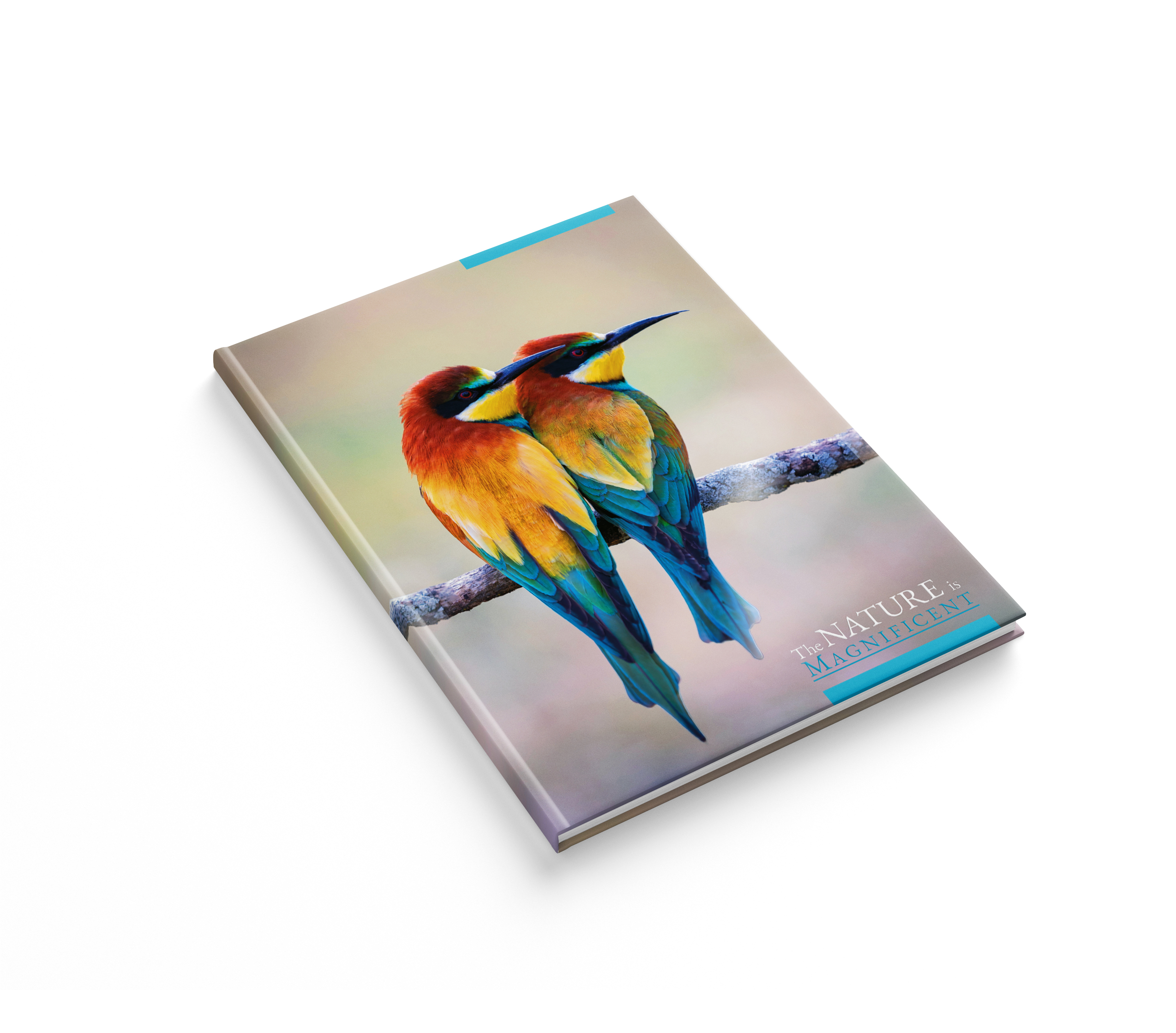 Книга-канцелярська А4 96 аркушів клітинка тверда обкладинка УФ-лак офс. ламінована «Яскраві пташки»