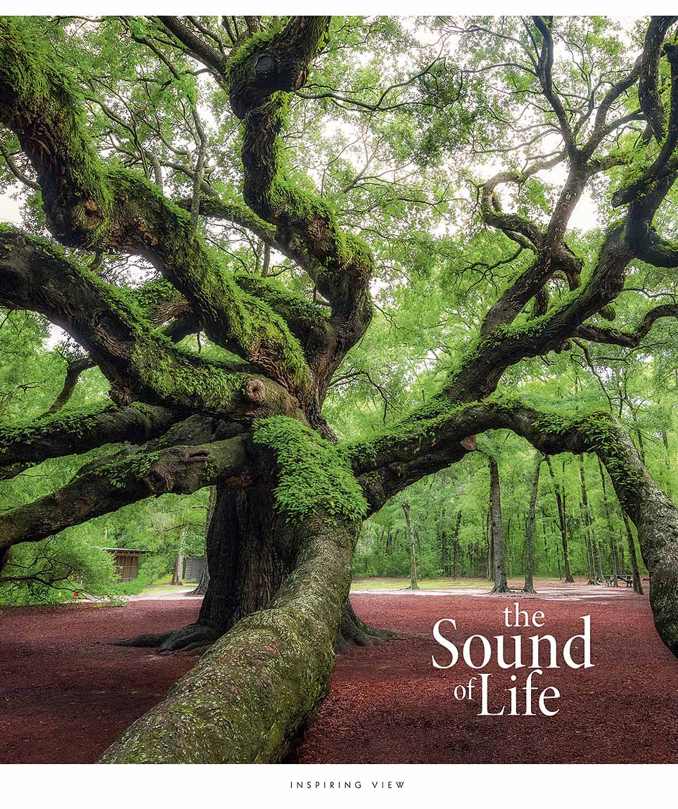 Зошит 48 аркушів клітинка Star «The Sound of life» УФ лак