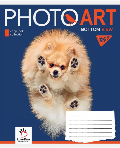 Зошит 18 аркушів клітинка Photoart