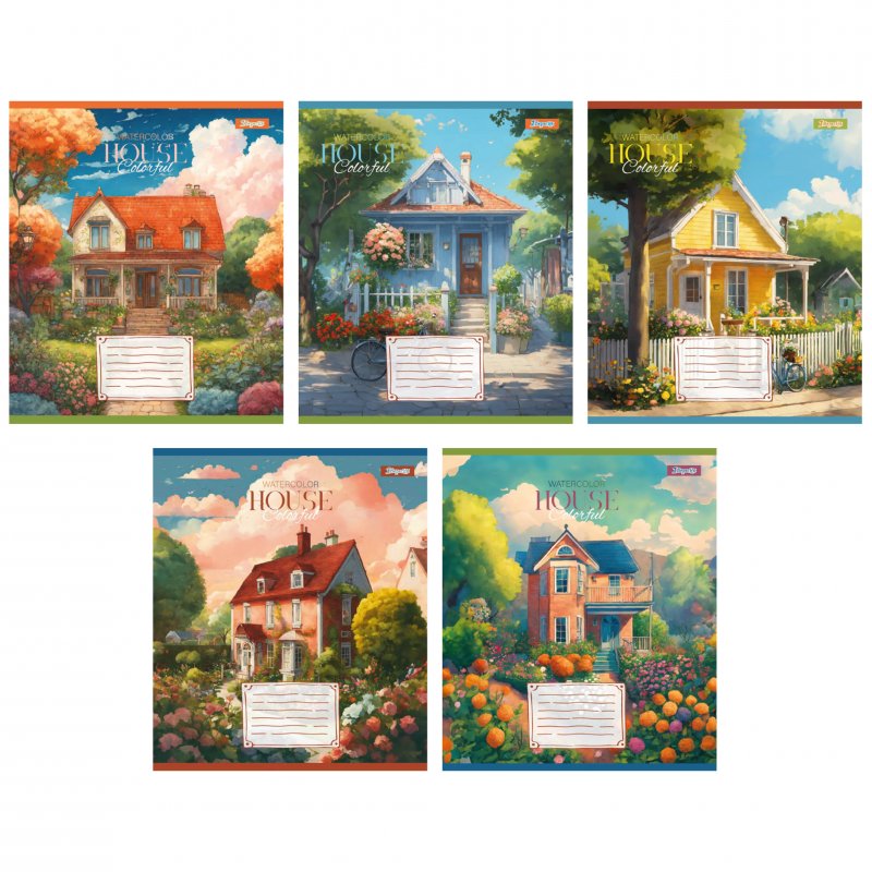 Зошит 48 аркушів клітинка 1В House colorful