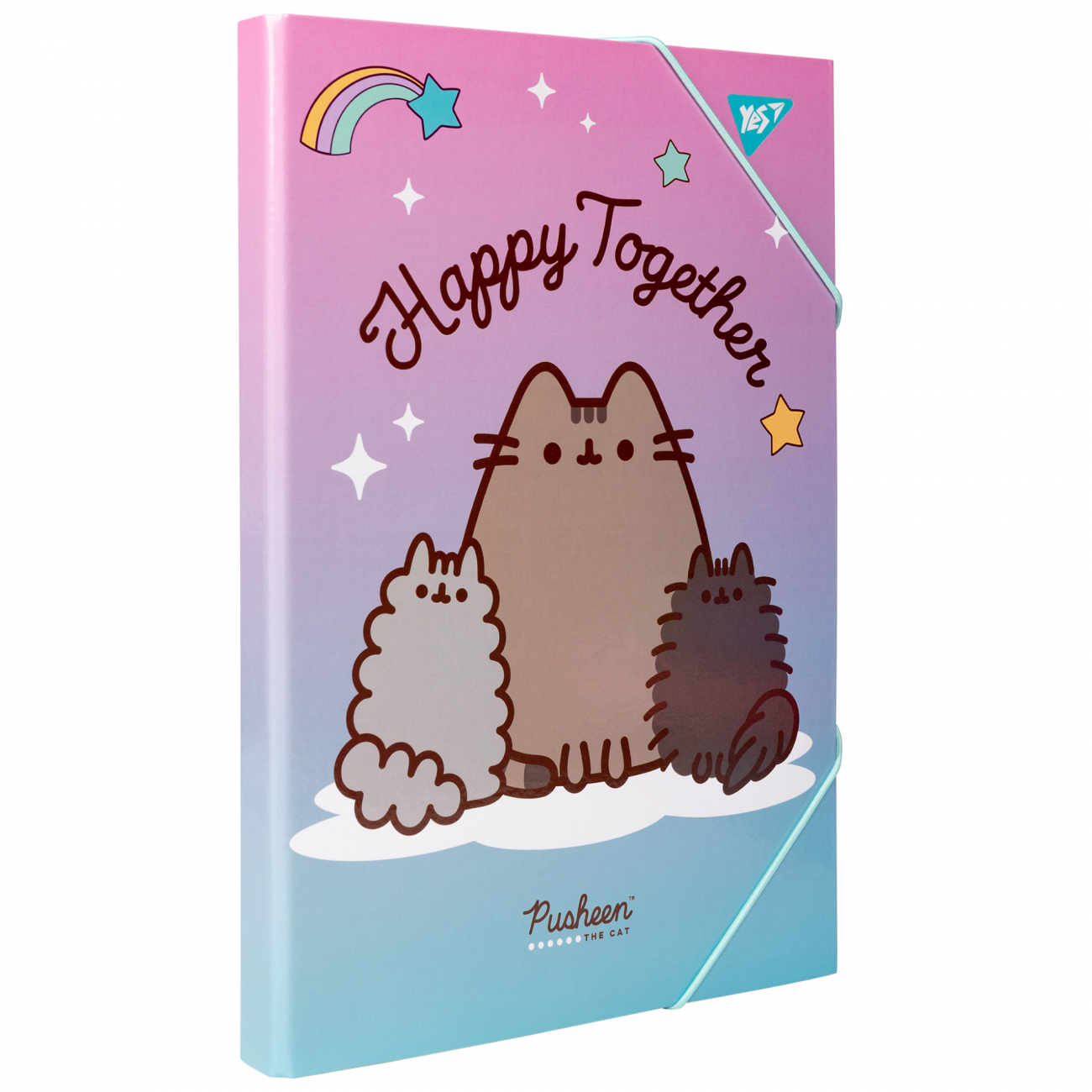 Папка для праці А4 «1В» «Pusheen» на резинці картон