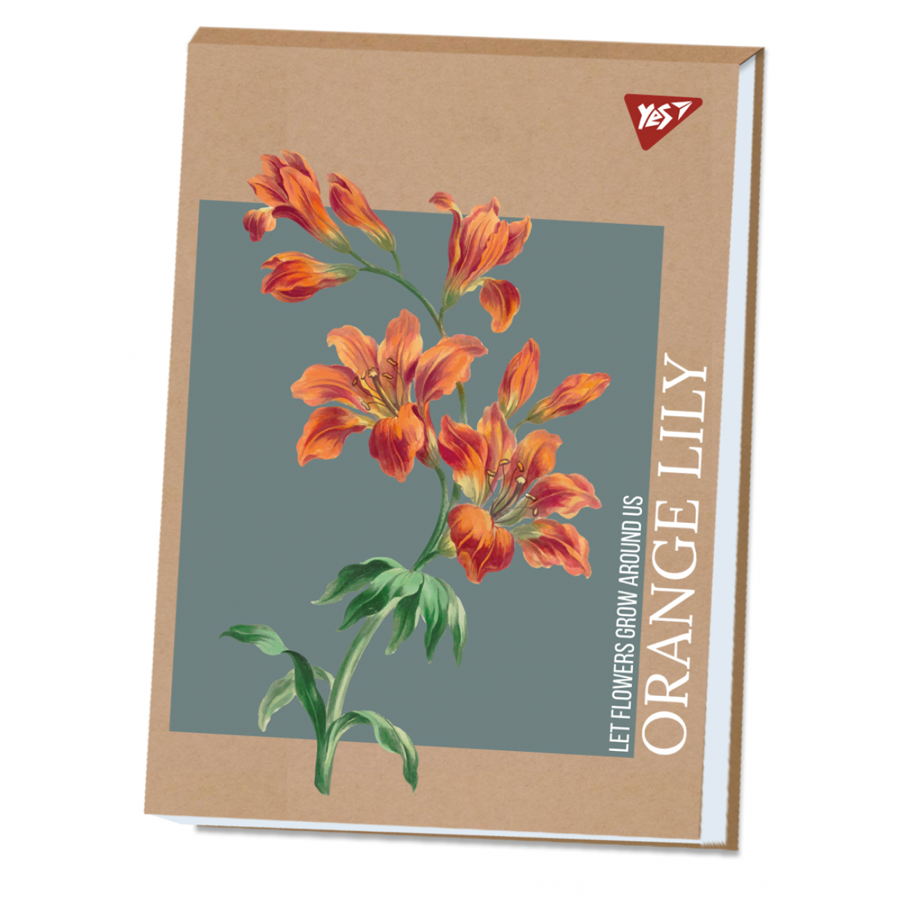 Альбом для малювання склейка 40/100 А4 «Lily» крафт білила