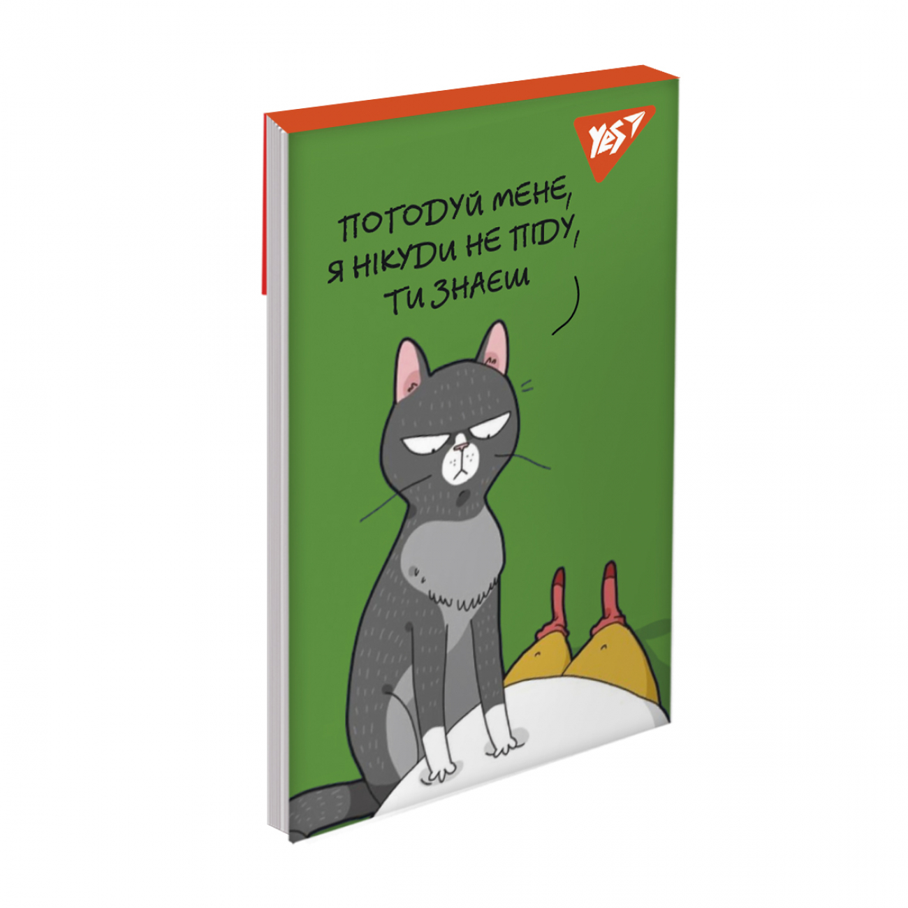 Блокнот А7 48 аркушів клітинка картонний Lazy cats, клей