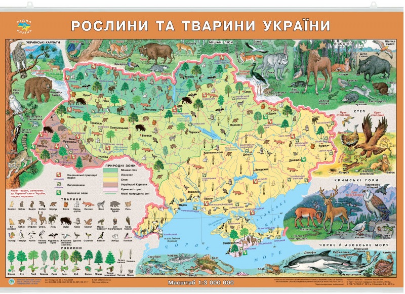 Карта «Рослини та тварини України» картон, планка 1:3 000 000