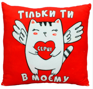 М'яка іграшка Подушка з принтом №2, вітальна 2″ 32×10×32