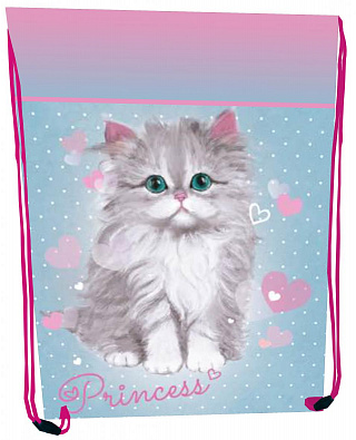 Сумка для взуття «Princess Cat» 1від.46×33см