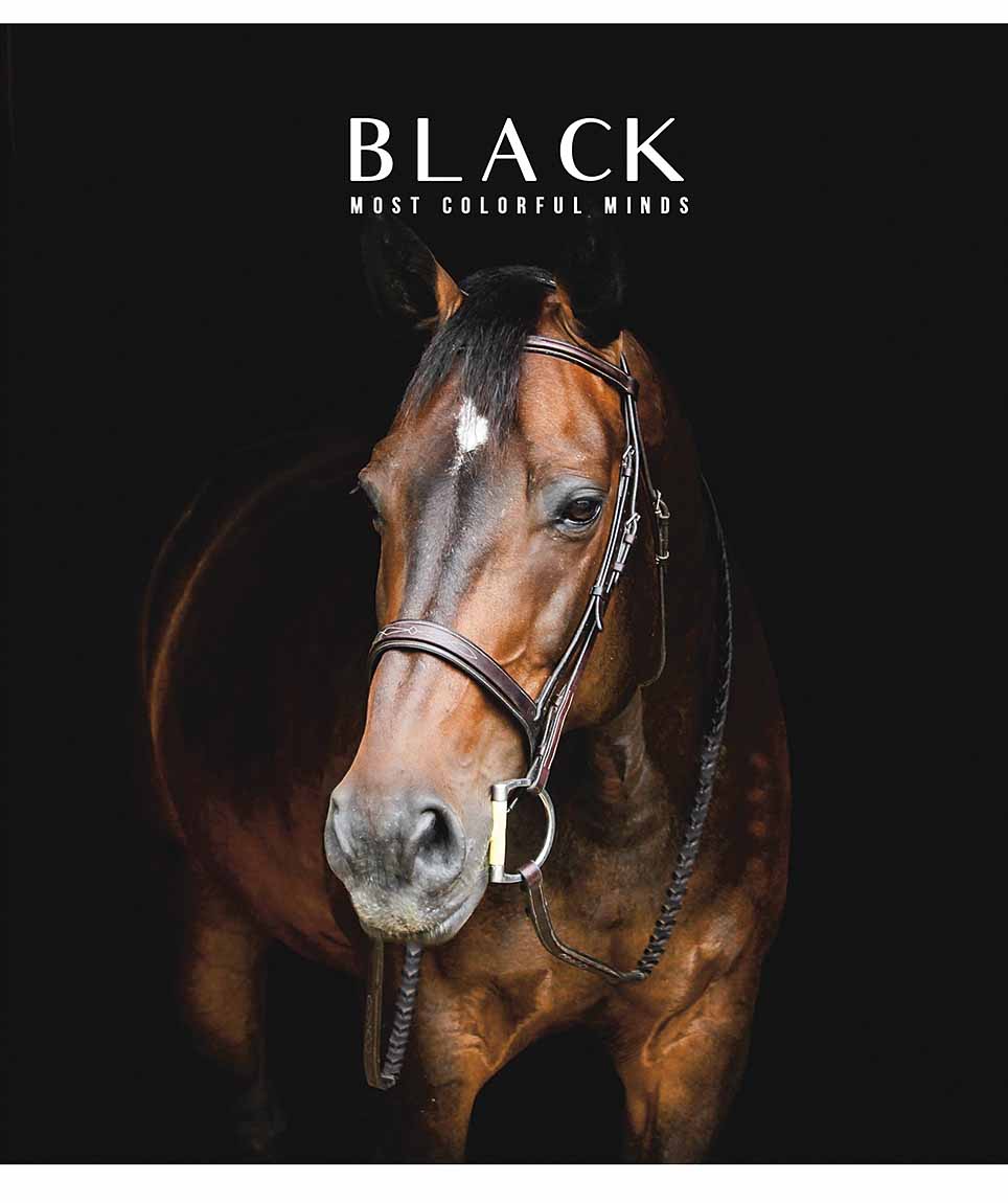 Зошит 48 аркушів клітинка Star «Black classic» УФ-лак
