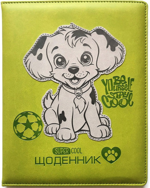 Щоденник шкільний шкірзам В5 48 аркушів