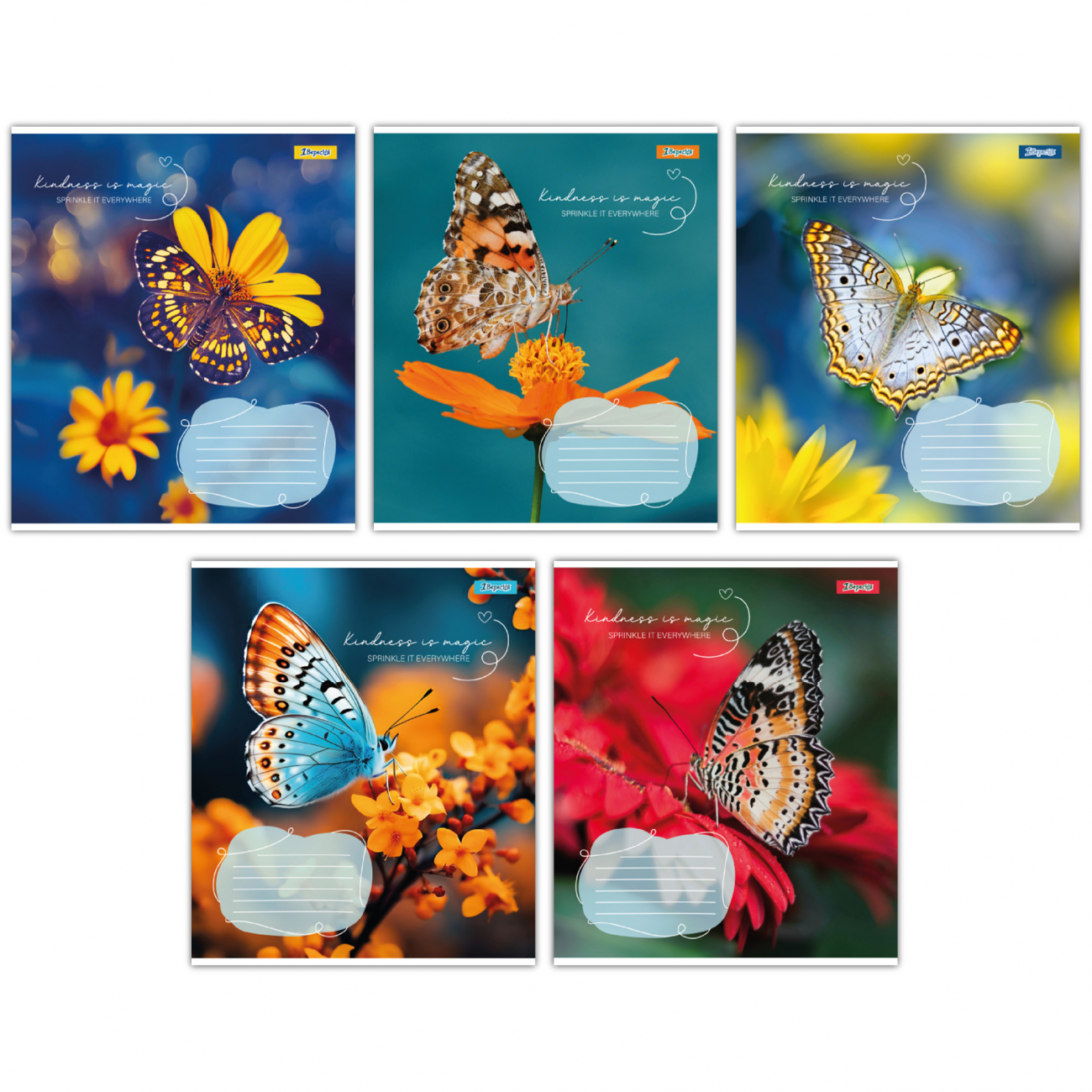 Зошит 36 аркушів клітинка 1В Butterfly