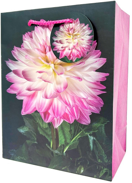 Пакет подарунковий 18×23×10см