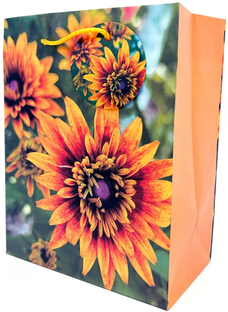 Пакет подарунковий 18×23×10см