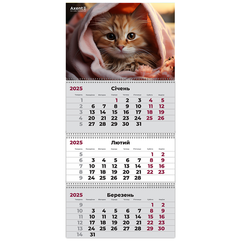 Календар кварт. настін. Cats 2″ 2026,3 пружини
