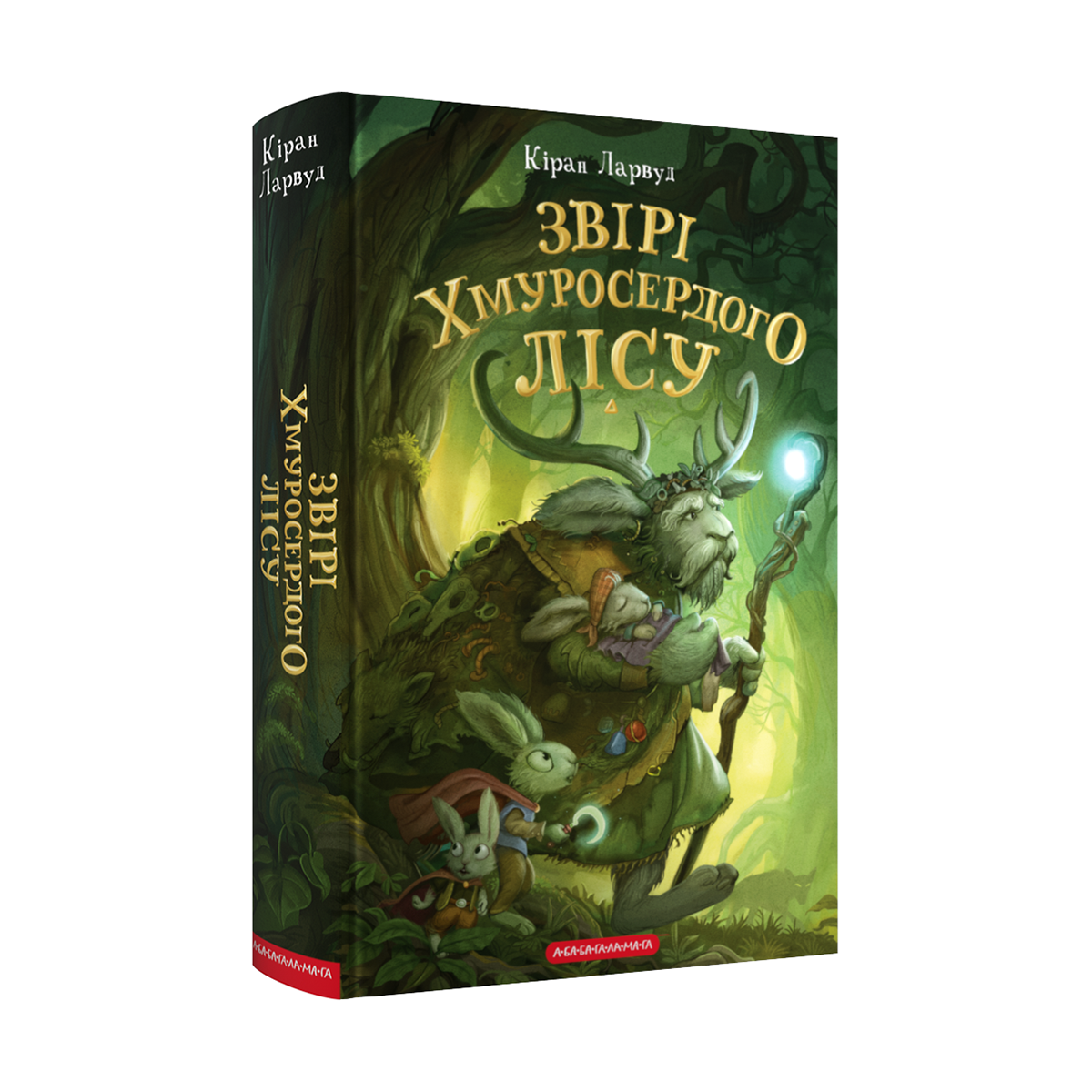 Книга А5 «Звірі Хмуросердого лісу» Кіран Ларвуд