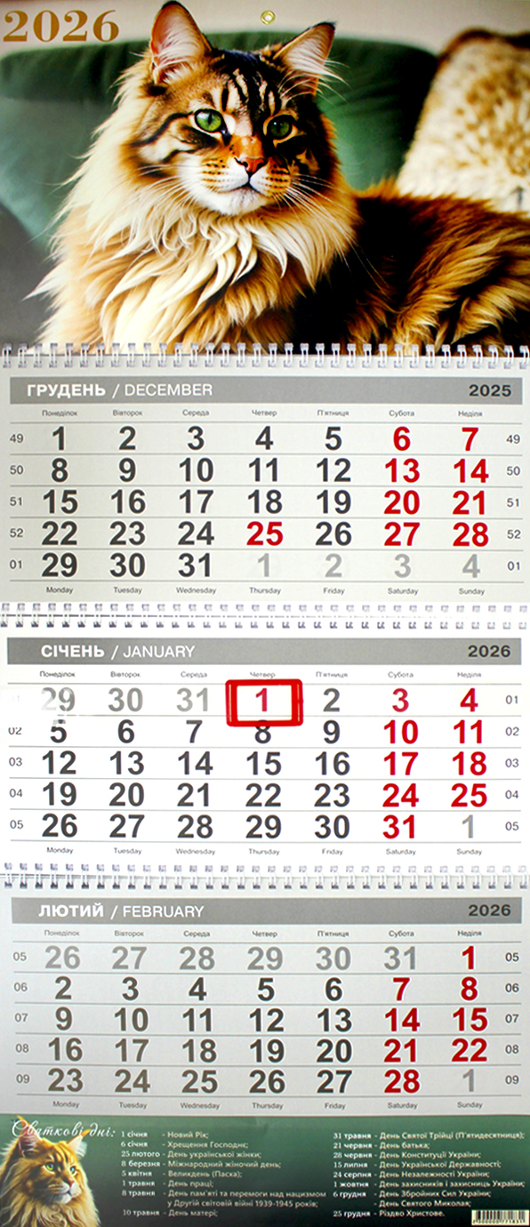 Календар кварт. настін. «Мейн-Кун» 2026 , 3 пружини