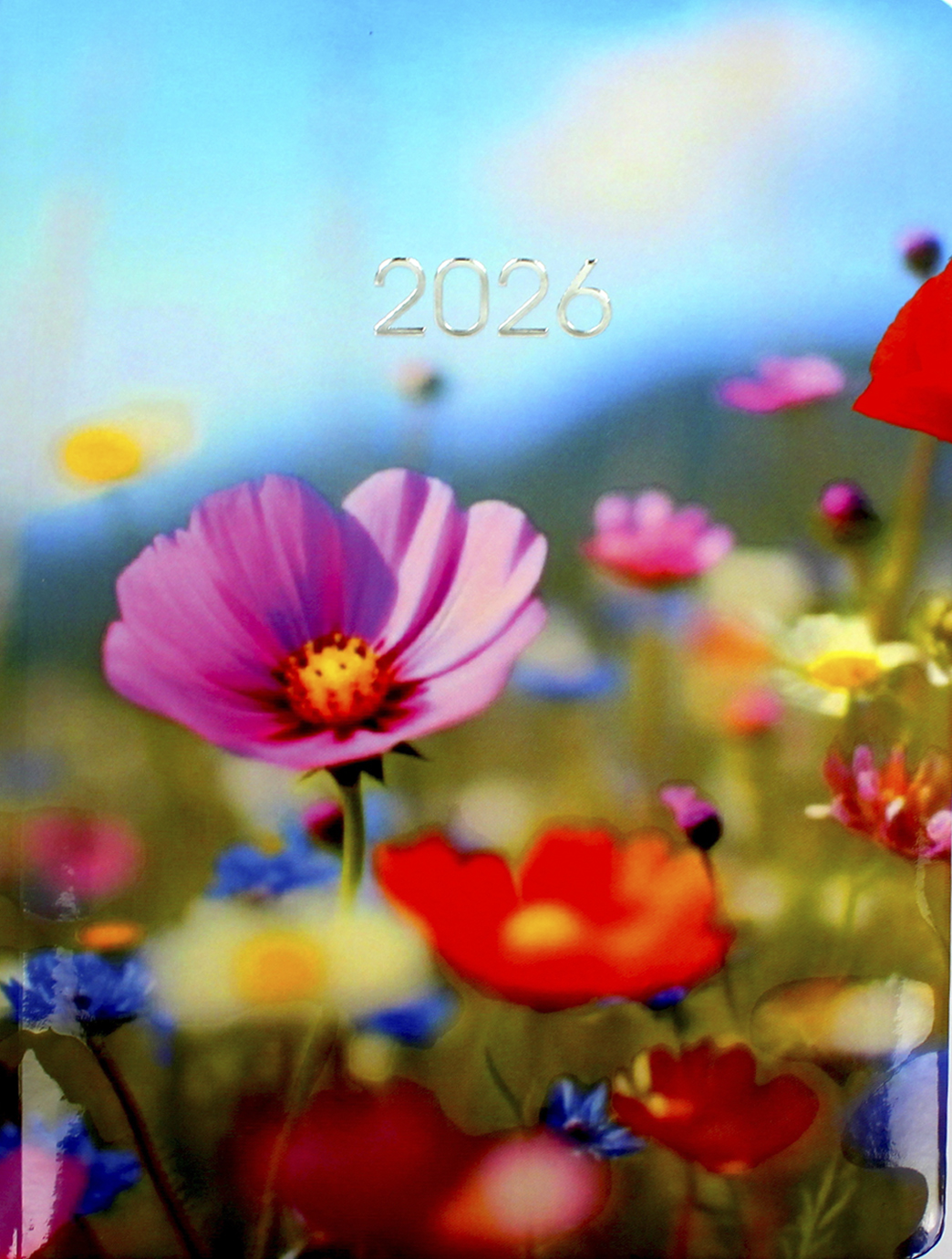 Щоденник А5 дат2026