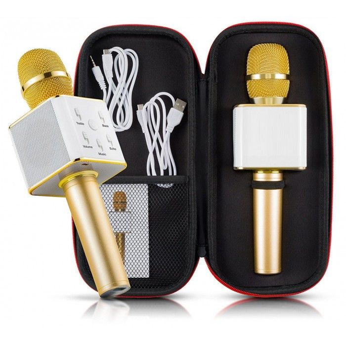 Мікрофон на акумуляторі, 25 см, USB, Bluetooth, в футлярі, 28×11,5×7 см, мікс кольорів Q7
