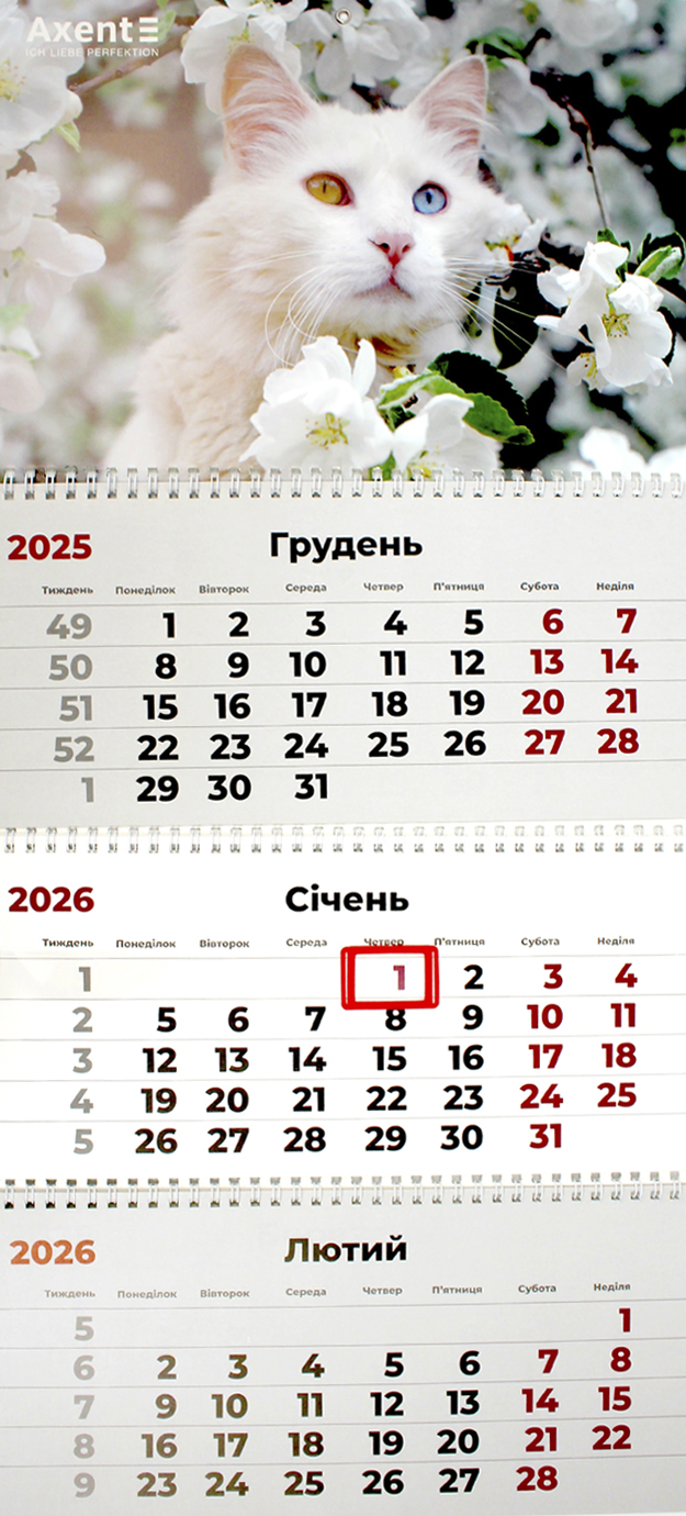 Календар кварт. настін. Cats 3″ 2026,3 пружини