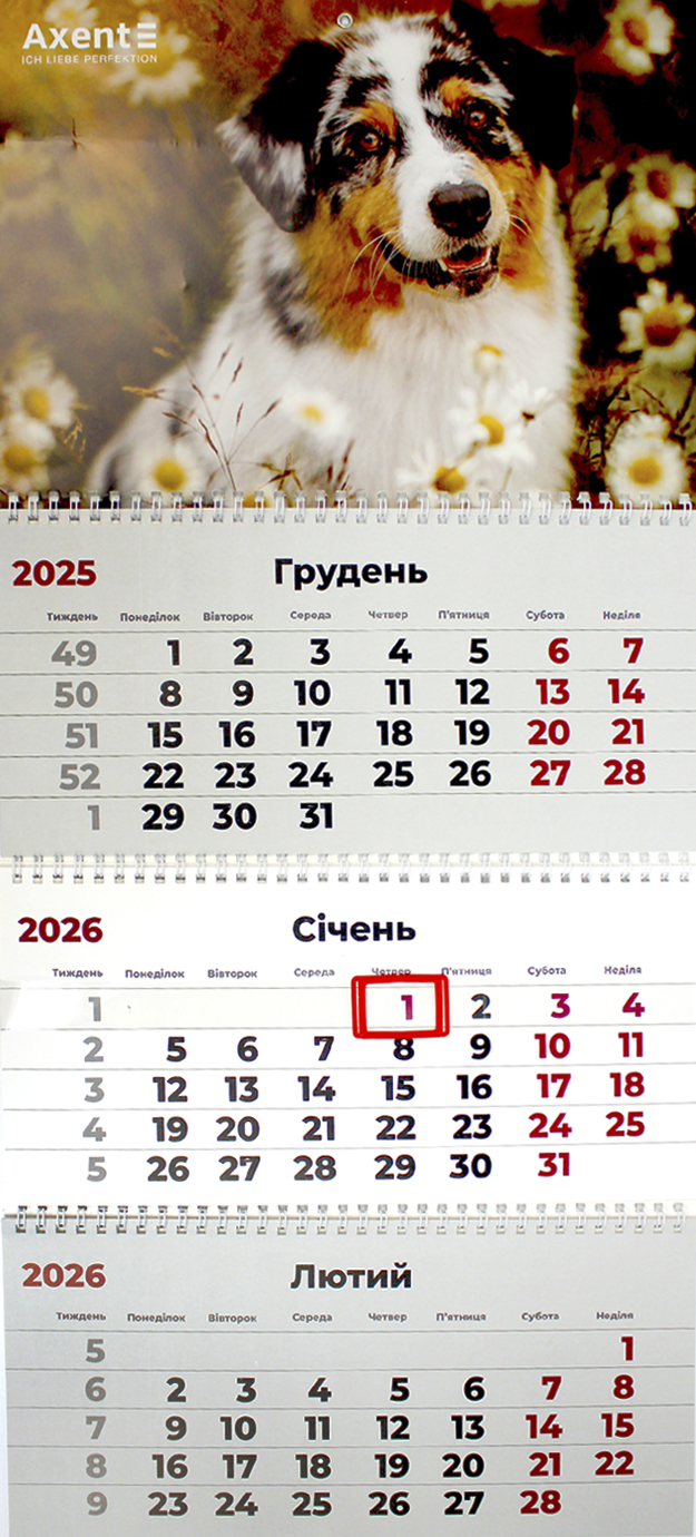 Календар кварт. настін. Dogs 1″ 2026,3 пружини