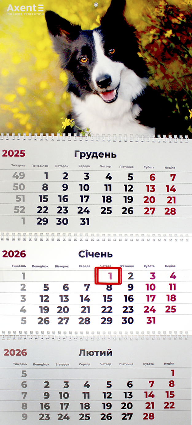 Календар кварт. настін. Dogs 3″ 2026,3 пружини