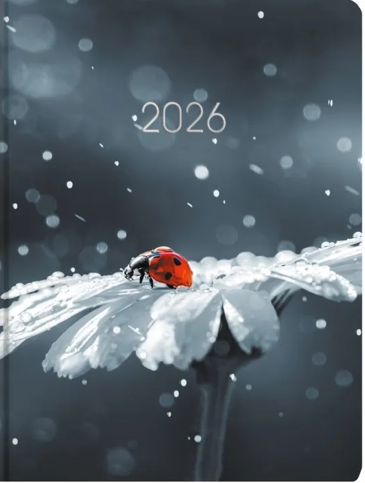 Щоденник А5 дат2026