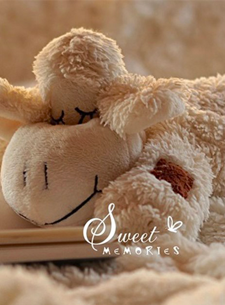 Фотоальбом 20sheet S22×32 Lamb